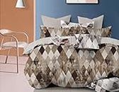 New Leaf All-Season Printed Super Soft Light Weight 4 Pcs Comforter Set with 1 Bedsheet 2 Pillow Covers- Light Weight Comforetr/Ac Blanket/Quilt - Double, 220 GSM | Light Grey and Pink Rose