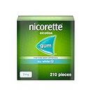 Nicorette Icy White 2mg Gum (210 Pieces), Discreet and Fast-Acting, Stop Smoking Aid to Help You Quit For Good, Nicotine Gum With Teeth Whitening Properties