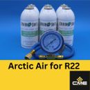 Envirosafe Arctic Air for R22 , AC Coolant Support, 6 cans and gauge