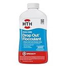HTH 67080 Swimming Pool Care Drop Ou Flocculant - Clears Cloudy Water Fast 32 Fl Oz (Pack of 1)