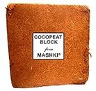 MASHKI Natural and Organic Cocopeat (Coirpith or Coco Fibre or Coco Peat) for Home Gardening, Kitchen Garden and Hydroponics Farming Manure (5)
