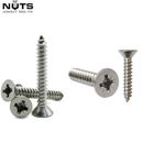 POZI COUNTERSUNK SELF TAPPING SCREWS A2 STAINLESS STEEL TAPPERS No. 4,6,8,10,12