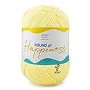 Ganga Pound of Happiness is knotless Giant Ball for Your Big Projects Pack of 1 Ball - 454gm. Shade no - POH013