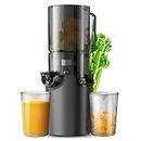 Masticating Juicers, 4.1-inch (104mm) Large Caliber Slow Cold Press Juicer, Easy-to-Clean Compact Juicer Machines with High Juice Yield