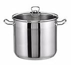 15 Ltr Large Deep Stainless Steel Cooking Stock Pot Casserole Glass Lid With Induction Base