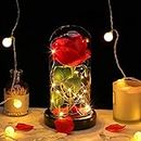 Glass Preserved Eternal Real Rose, Birthday for Her Women Gifts Artificial Rose with DIY Led Light, Beauty and The Beast Dome, Mother's Day Valentine's Mom Gift from Daughter, TOJUNE (Red)