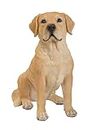 Real Life Sitting Golden Labrador | Highly Detailed Home or Garden Decoration | XRL-LABR-B