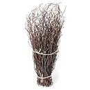 SOUJOY 100 PCS Birch Twigs for Vase, 17 Inch Thin Birch Branches, Craft Decoration Branches for DIY, Home, Office, Wedding Centerpieces