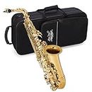 Jean Paul USA AS-400 - Saxofón alto para estudiantes, color amarillo