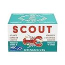 SCOUT Atlantic Canadian Lobster | MSC Certified, Responsibly Sourced Seafood Tin | Atlantic Canadian Lobster in BPA-Free, Recyclable Cans (Pack of 1 x 90g tin)