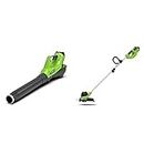 Greenworks Battery-Powered Lawn Trimmer G40LT and Leaf Vacuum & Leaf Blower GD40BV (Li-Ion 40 V 30 cm Cutting Width 7000U/min 280 km/Hour Air Speed Speed Regulation Without Battery and Charger)