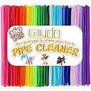 Caydo 360 Pieces Pipe Cleaners 40 Assorted Colored Chenille Stems for Art and Crafts, Children’s Craft Supplies (6 mm x 30 cm)