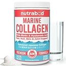 Nutrabud Japanese Marine Collagen Powder Supplement for Women, Men | No Added Sugar | Supports Skin Radiance, Healthy Hair, Nails & Joints | Hydrolyzed Collagen Peptides (Unflavoured, 200g)