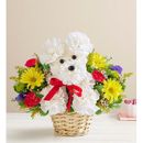 1-800-Flowers Flower Delivery A - Dog - Able In A Basket A - Dog - Ablein A Basket