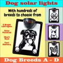 Piastre da parete solari per cani (razze per cani A - D)