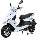 X-PRO 150 Moped Street Gas Moped 150 Adult Bike with 10" Aluminum Wheels! Electric Start, Large Headlights! (White)