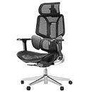 Hbada E3 Ergonomic Office Chair with Dynamic Lumbar Support, 3D Adjustable Headrest for Home Office Chair, 3D Adjustable Armrests Desk Chair, Swivel Big and Tall Computer Chair, Black(No Footrest)
