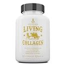 Ancestral Supplements Grass Fed Beef Living Collagen Nutritional Powder Supplement, 3000mg, Promotes Healthier, Younger Looking Skin, Hair, Nails and Joints, Types I,II,III,V, and X, 180 Capsules