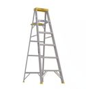 6 Ft. Aluminum Step Ladder (10 Ft. Reach Height) with 250 Lb. Load Capacity Type