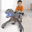 ONG NAMO Remote Control Dinosaur Toys for Kids, 5 Channels 2.4GHz RC Dinosaur Toys Realistic Dinosaur Robot Vivid Walking and Roaring T-Rex Dinosaurs with LED Light for Boys Girls