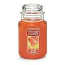 Yankee Candle Autumn Leaves Scented, Classic 22oz Large Jar Single Wick Candle, Over 110 Hours of Burn Time