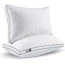 BedStory Bed Pillows for Sleeping - Queen Size Set of 2, Hotel Quality Soft & Comfortable Improve Sleep Quality, Luxury Pillows for Side, Stomach or Back Sleepers (19" x 28")