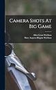 Camera Shots At Big Game