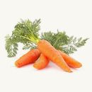 Carrot Hybrid Seed Gajar Ke Beej Vegetable Seeds For Home Planting Gardening