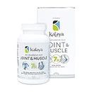 Kalaya 7X joint & Muscle Anti-Inflammatory Supplement 60 count