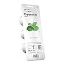 Click and Grow Smart Garden Peppermint Plant Pods, 3-Pack