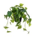 LuckyGreenery Artificial Scindapsus Aureus, Realistic Fake Plant with Plastic Pot for Home Office Garden Decoration 1 Pack(8in H)