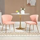 Modern Dining Chairs Set of 2 Chairs Velvet Accent Living Room Chairs Nordic Style Upholstery Dining Table Chair with Golden Metal Legs for Dining Room Kitchen Vanity Bedroom (Pink)