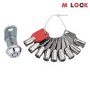 Lot of 13 High security Gemetic Lock Tubular cam lock 9pcs keys Master key 
