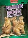 Prairie Dogs in Their Ecosystems (Vital to Earth! Keystone Species Explained)