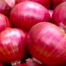 Red Creole Onion Seeds | NON-GMO | Heirloom | Fresh Garden Seeds