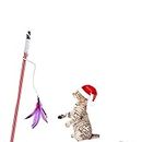 The Pets Company Cat Retractable Bell Teaser Wand Toy, Interactive Natural Feather Cat Kitten Toy