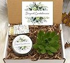 Sympathy Gift Box- Sympathy Gift Ideas- Succulent Gift Ideas - Deepest Condolences - Sorry for Your Loss - Live Succulent and Candle (XBR2)