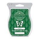 Scentsy Iced Pine Bar