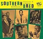 Southern Bred 22 Tennessee R&B Rockers: Trouble Trouble (Various Artists)