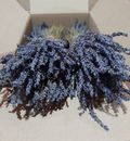 Greek Dried Lavender Bunch 300 stems 1 bunch 30-32 cm Organic Harvest July 2023