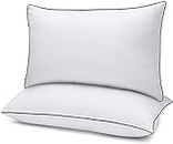 Habitat Rectangular 20x30 Inches Pillow, Set of 2, Bed Lining Pillows for Sleeping 2 Pack Queen Size, Microfiber Pillow with Soft Premium Plush Fiber Fill Skin-Friendly - White