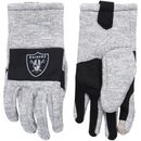 Men's FOCO Gray Las Vegas Raiders Team Knit Gloves