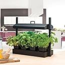 TrustBasket Indoor Jungle - Plant Growing System with LED Light| Portable Indoor Garden Starter Kit for Home Gardening