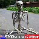 Full Life Size Human Skeleton Halloween Prop Poseable Halloween Party Decoration