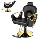 Hicomony Barber Salon Chair for Hair Stylist, Hair Salon Chair with Heavy Duty Hydraulic PUM, Multi-Function Shampoo Chair Beauty Salon Equipment (Black)