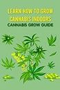 How to Grow Cannabis: Easy Step Guide: Growing Cannabis