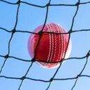 Rete da cricket palla stop pratica gabbia battitura sport rete tennis taglia a scelta