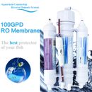 3 Stage Portable Aquarium Countertop Reverse Osmosis Water Filter System 100GPD