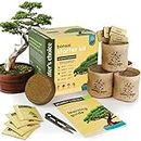 New Bonsai Starter Kit - Gardening Gifts for Women & Men - Unique DIY Hobbies, Crafts Hobby Kits for Adults - Unusual Easter Gift Ideas for Garden Plant Lovers, or Gardener Mother (Bonsai)