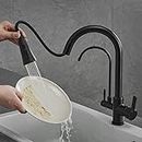 Mixer Tap Kitchen Sink Pull Out Spray 3 Way Tap Kitchen Sink Mixer 360° Swivel Single Lever 3 in 1 High Arc Water Filter Purifier Tap,Black